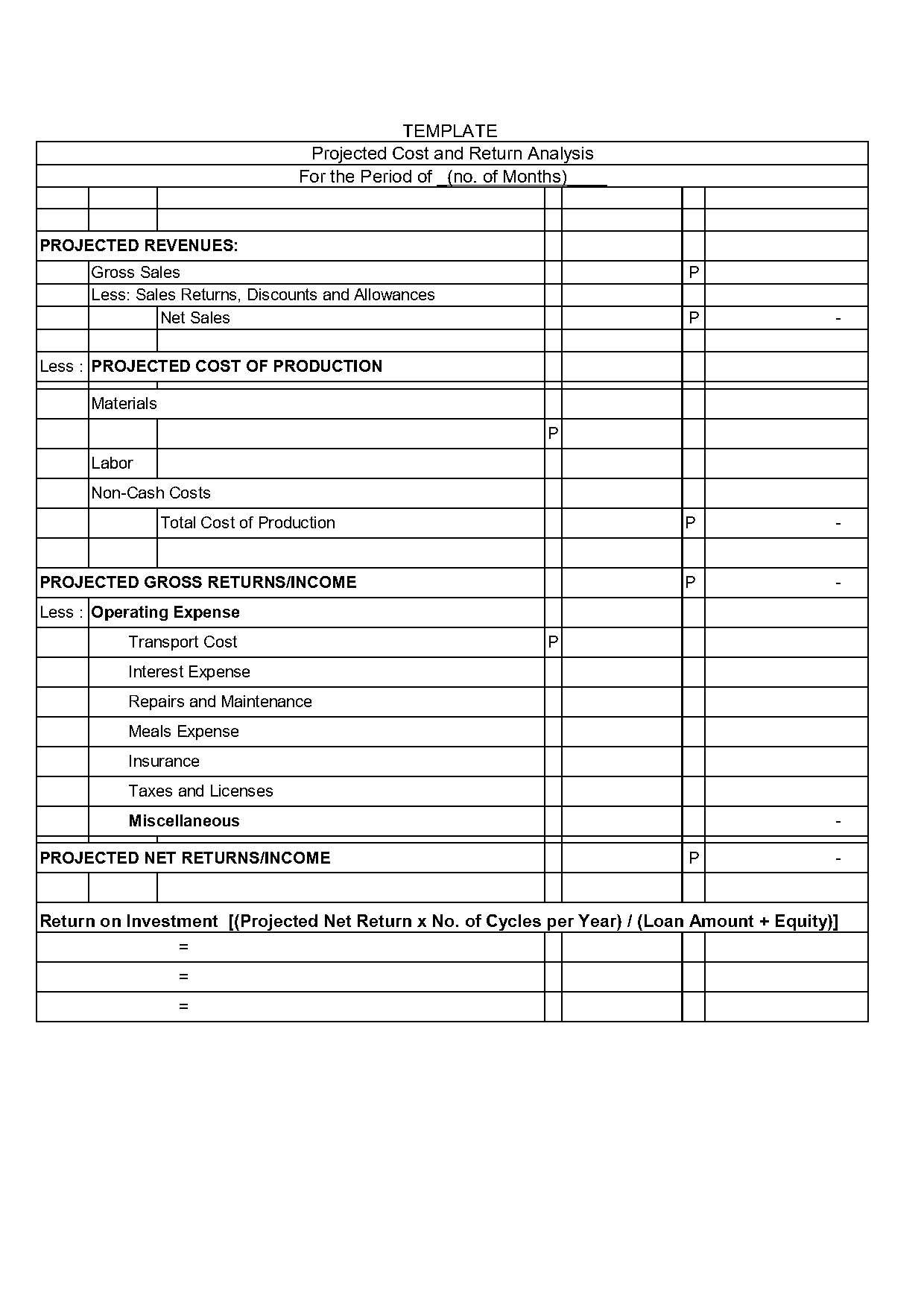 cost and return analysis example